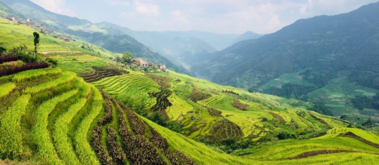 DRAČÍ HŘBET – RÝŽOVÉ TERASY V LONGSHENG ČÍNA